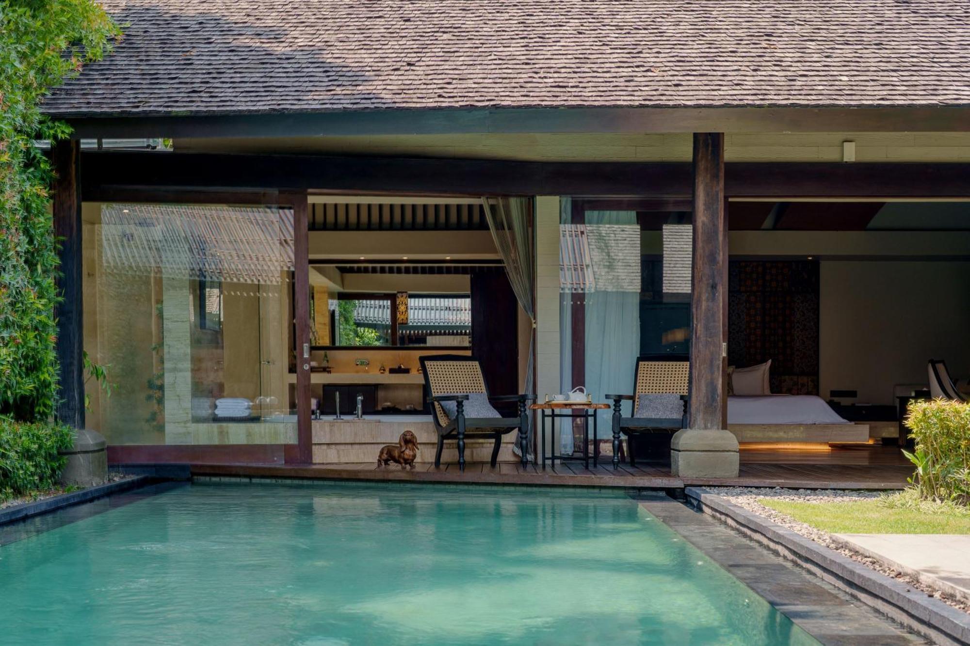 Ametis (adults Only) * Canggu